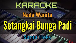 SETANGKAI BUNGA PADI  KARAOKE [upl. by Birck]