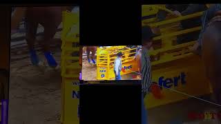 2024 Wrangler NFR Round 1 Team Roping [upl. by Rihat]