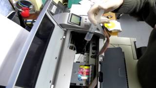 How to Manually Clean Your Epson 1430 Printer Printheads [upl. by Iahk]