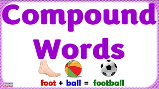 Compound Words  Compound Nouns  With Simple Explanation for Beginners  Liy Learns Tutorial [upl. by Raffaello]