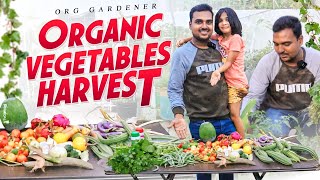 Happy Harvesting with Lucky harvest organic OrgGardener [upl. by Ibbor]