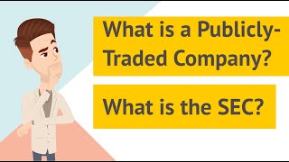 What is a Publicly Traded Company and What is the SEC [upl. by Cornelia271]