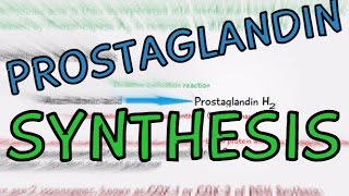 Biochemistry Help Prostaglandin Synthesis explained in 4 Minutes How are Prostaglandins made [upl. by Galer]