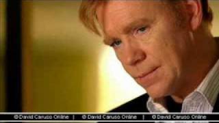 Horatio Caine  Sad reality [upl. by Mikahs]