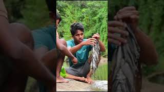 Cooking Sea fish with Chili for Eating delicious  village foods Fish Recipe Cooking [upl. by Darian]