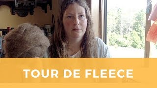 Tour De Fleece 2018 [upl. by Glenna468]