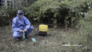 Herbicide Treatment of Japanese Knotweed [upl. by Condon565]