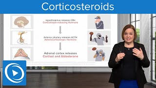 Corticosteroids – Pharmacology  Lecturio Nursing [upl. by Brottman]