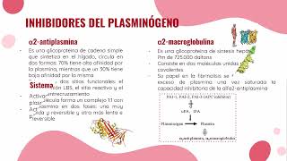 SISTEMA FIBRINOLÍTICO [upl. by Jarvey]