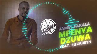 James Sakala  Mpenya Dzuwa Feat Elizabeth  Zambezi Juice [upl. by Stiruc466]