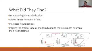 Mammalogy Journal Club Assignment [upl. by Breed]