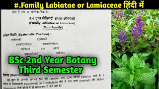 Family Lamiaceae in Hindi  Family Labiatae  BSc 2nd year Botany Third Semester [upl. by Crowley]