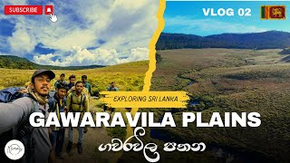 Gawaravila Plains  ගවරවිල පතන  Maskeliya  VLOG 02 thediaryofnima [upl. by Fulmer325]