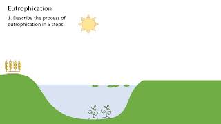 Eutrophication A level biology [upl. by Wittenburg]