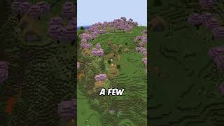 THIS IS A MUST TRY SEED FOR MINECRAFT minecraft bestbrokenseeds mcyt seeds [upl. by Nylqcaj547]