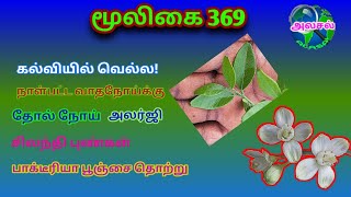 குருந்துkurunthuAtalantia Monophyllakurunthu treeகுருந்த மரம்அலசல்Alasal [upl. by Elac]