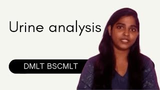 DMLT BSCMLT Pathology  Urine analysis  Mlt healthy vlogs  in telugu [upl. by Odille]