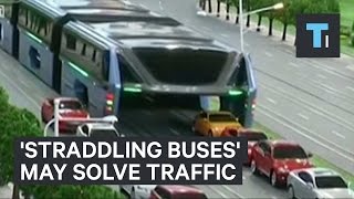 Straddling buses may solve traffic [upl. by Valentine390]