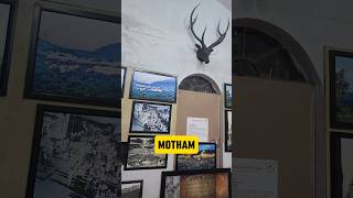 Tirumala Forest Museum minivlog vinayvlogs vlog shorts [upl. by Kei805]