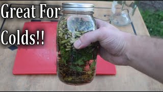 How To Make Echinacea Tincture [upl. by Stewardson]