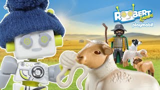 ROBert Knows  Playmobil  How is wool made  Farm  Country  Sheep  Kids Video [upl. by Marquardt]