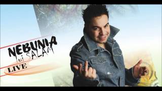 Florin Salam  Am gresit mai dami o sansa FULL VERSION [upl. by Catharina365]