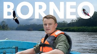 Kinabatangan River Cruise  Borneo 🇲🇾  Adventure Travel Borneo  S5E4 [upl. by Gilmore]