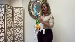 Transform Myofascial Release’s Self Treatment to the Low Back Area The Quadratus Lumborum [upl. by Riplex]