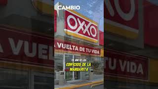 ‘Ladrón spiderman’ se lanza de la azotea durante persecución tras asaltar Oxxo en La Margarita [upl. by Eidas]