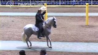 Ponce 2012 Caballos De Paso Fino 72 a 90 [upl. by Sanyu]