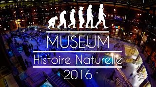 Muséum dHistoire Naturelle  Paris [upl. by Atinuaj]