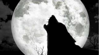 Wolves Howling At The Moon [upl. by Inwat]