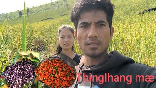 Burma Boundary lang a joh dia mæ halthem kaga poh nau  ahoithei mong e organic mæ ngan ahie😮😮 [upl. by Ajan]