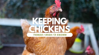 Keeping Chickens For Beginners UK  What I Wish I Knew Before Getting Chickens [upl. by Notyard509]