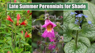 10 Late Summer Perennials for ShadePart Shade Garden Spot  August September Blooms [upl. by Raquel]