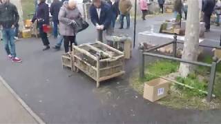 Marché de Louhans suite et fin [upl. by Tegirb285]