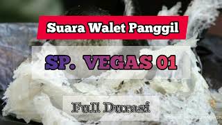 Suara walet SP Vegas [upl. by Noreh]