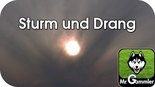 Sturm und Drang Insrumental [upl. by Ahsilrac]