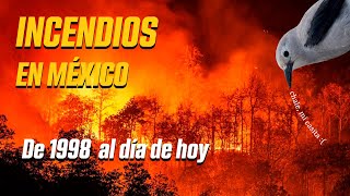 Incendios del 98  ¿Qué ocurrió entonces y que podemos aprender ahora [upl. by Briney]