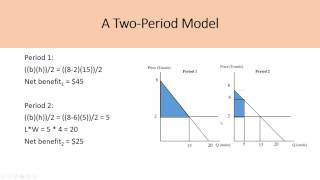 Environment and Natural Resource Economics Tietenberg Chapter 5 [upl. by Magas]