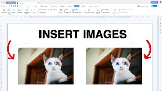 How to Insert Image in LibreOffice  Writer [upl. by Iral]