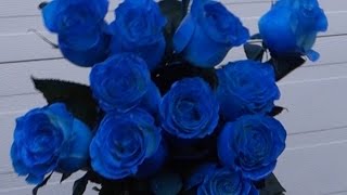 How to make blue roses [upl. by Aliza804]