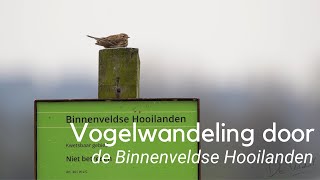 Vogelwandeling door de Binnenveldse Hooilanden 1207 [upl. by Eilatam146]