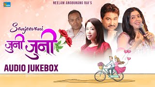 Nepali Super Hit SongsJukebox Nepali Songs  Juni Juni  Sanjeevani Kumar Sanu Neelam Angbuhang [upl. by Freudberg]