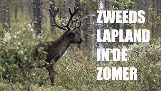 Reisvideo Hoogtepunten Zweeds Lapland zomer [upl. by Dnalor397]