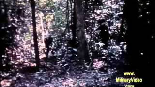 25th Infantry Division Search And Destroy Vietnam War [upl. by Humble]