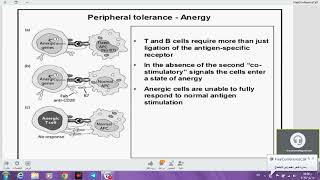 مايكرو نظري مناعة لكجر 8  IMMUNOLOGICAL TOLERANCE AND AUTOIMMUNITY  دسوزان [upl. by Jamin]