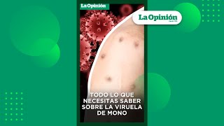 Viruela del mono ¿Cómo se contagia la mpox  La Opinión [upl. by Lavona]