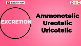 Excretion Ammonotelic Ureotelic and Uricotelic Excretion Ammonotelic urea uricacid biology [upl. by Ntsyrk513]