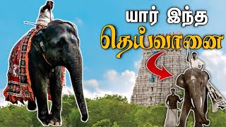 தெய்வானை யானை இதனால தான் இப்படி பண்ணுச்சாfacts elephant thiruchendur theivanai murugan god 1m [upl. by Llenyl]